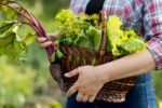 close-up-hand-holding-lettuce-basket
